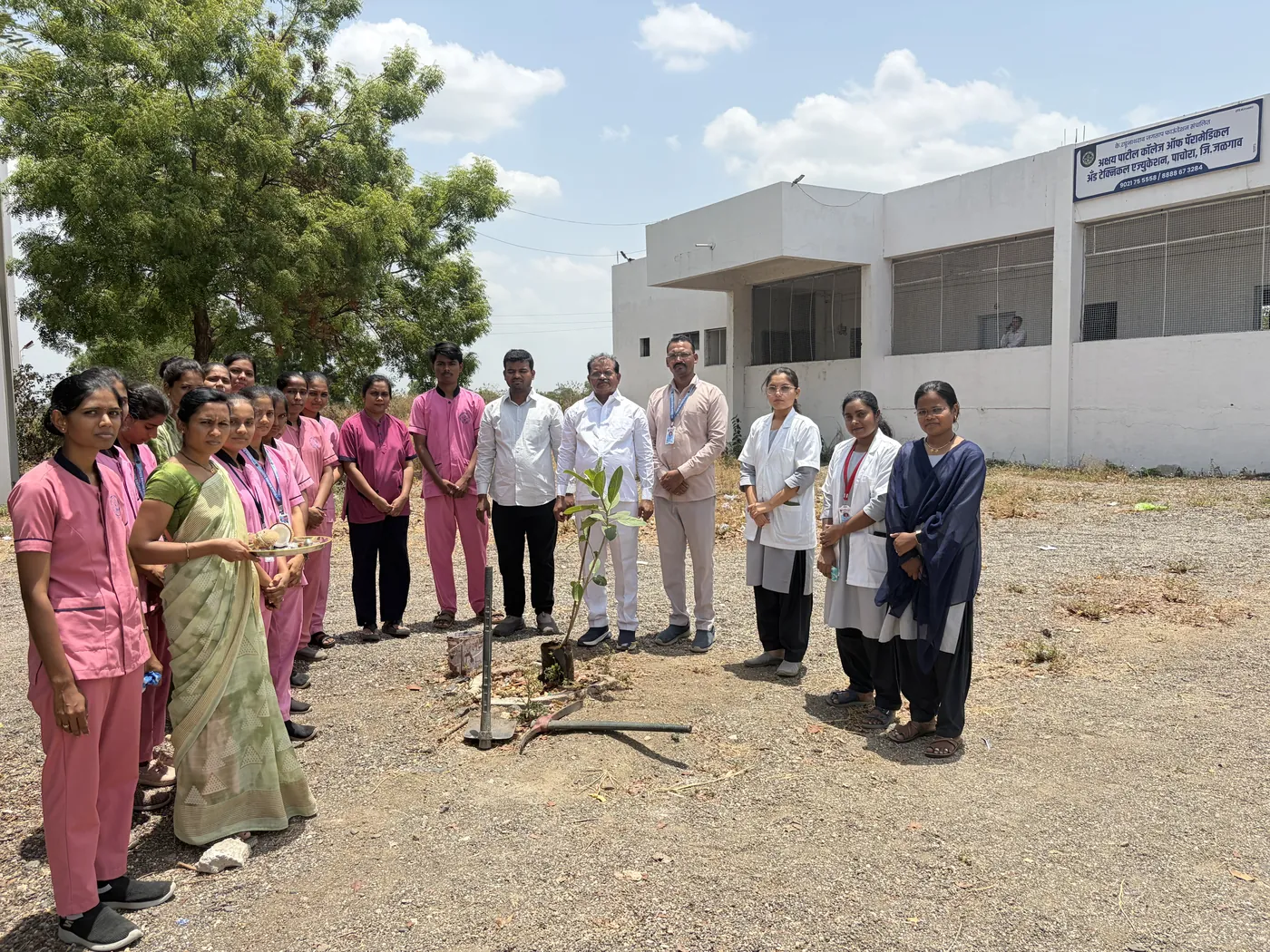 Tree Plantation Drive